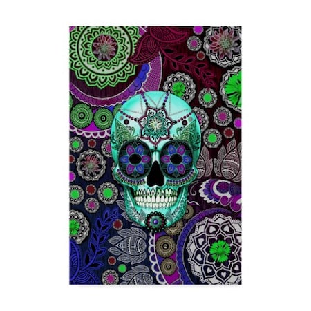 TRADEMARK FINE ART Fusion Idol Arts 'Sugar Skull Sombrero Night' Canvas Art, 16x24 ALI34853-C1624GG